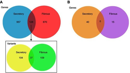 Figure 3 Distinctive somatic mutation patterns for single nucleotide variants (SNVs) and InDels in the two sporadic multiple meningiomas. (A) The number of genes with somatic mutations including SNVs and InDels between two subtypes. The box showed the number of SNVs and InDels in the common genes between the two subtypes. (B) All the genes with somatic mutations in exons of the whole genome of the two subtypes.