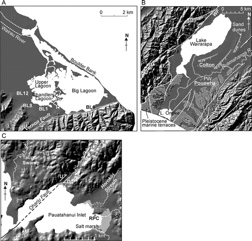 Figure 2  Shaded digital elevation maps of the three study sites. A, Map of the Big Lagoon complex in the lower Wairau Valley, see C for location. The four drill locations are shown along with the topography and onshore location of the Vernon Fault. B, Core locations within the lower Wairarapa Valley. Topography and active faults are shown (WF: Wairarapa Fault). The dotted white line indicates the course of the Ruamahanga River (note the locations of the natural and artificial river courses). Stippled light grey areas indicate Pleistocene marine terrace surfaces. PW: Pouawha Well. C, Map of the Pauatahanui Inlet area with the four drillcore locations. Also shown in light grey are the modern salt marsh areas and the Ohariu Fault trace. PO: Pauatahanui Orchard core.