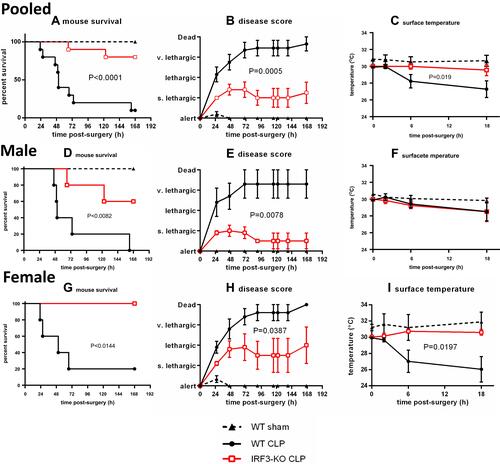 Figure 1 Aged IRF3-KO mice were protected from sepsis. Aged WT and IRF3-KO mice were subject to CLP to induce sepsis, and a second group of aged WT mice was subject to sham surgery as a control. Graphs show pooled male and female data (n=10/group CLP, n=5/group sham) for (A) animal survival, (B) disease score (degree of lethargy) and (C) surface temperature, indicative of hypothermia. This cohort was split into male and female subgroups to show the impact of biological sex. Graphs show data for the male mice (n=5/group CLP, n=3/group sham) including: (D) animal survival, (E) disease score (degree of lethargy) and (F) surface temperature; and the female mice (n=5/group CLP, n=2/group sham), including: (G) animal survival, (H) disease score (degree of lethargy) and (I) surface temperature. P values show the results of a log rank test comparing the WT and IRF3-KO CLP groups for animal survival and two-way repeated measures ANOVA comparing the WT and IRF3-KO CLP groups for the other measurements.