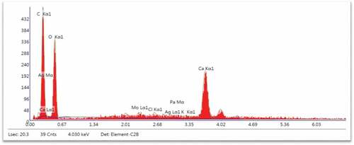 Figure 8. EDS analysis of raw CA fiber.