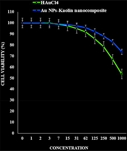 Figure 6. The cytotoxicity effects of HAuCl4 and Kaolin@extract/Au nanocomposite against normal (HUVEC) cell line.