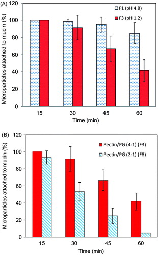 Figure 4. (A) Effect of cross-linking pH on the mucoadhesive properties of Zn-pectinate/chitosan MPs prepared at pH 4.8 (F1) or pH 1.2 (F3) (Preparation conditions: chitosan concentration, 0.5%; pectin/PG, 4:1; cross-linking time, 120 min) (B) Effect of pectin/PG ratio on the mucoadhesive properties of pectin/chitosan MPs prepared at pectin/PG of 4:1 (F3) or 2:1 (F8) (Preparation conditions: pH, 1.2; chitosan concentration, 0.5%; cross-linking time, 120 min).