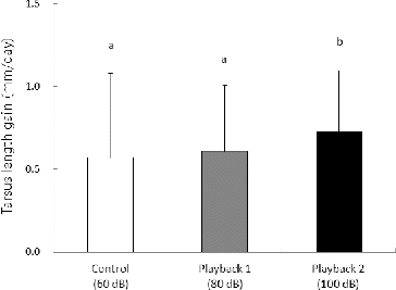 Figure 2. Daily tarsus length gain (mm/day) of great tit nestlings in artificial nest boxes for the control (60 dB), playback 1 (80 dB), and playback 2 (100 dB) groups. Values are presented as mean and SD. Different letters indicate significant differences between the mean values for a given treatment (P<0.05).