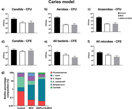 Figure 6. Results of counting of colony forming units for total Candida (A), total aerobes (B) and total anaerobes (C) in MCZ- or nanocarrier-treated and untreated controls in the caries biofilm model. Colony forming equivalents of viable Candida and total bacteria cells are shown in panels D (Candida), E (bacteria) and F (all microbes). Biofilm percentage composition in treated and untreated controls represented in panel G, shown with Log scaling to depict all microbial genus/species. Percentage composition and raw CFE/ml for each microorganism is shown in Table 4 and Supplementary Table 1. Biofilms were treated anaerobically for 24 hours. Untreated biofilms were cultured under the same conditions minus drug treatment. Results shown representative of a total of 6 values (three technical replicates from two separate experiments).