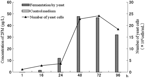 Fig. 2. Formation of 2FM from furfural and cysteine in the fermentation and control medium.Note: Standard deviation over the average concentration was ±0.1 μg/L.