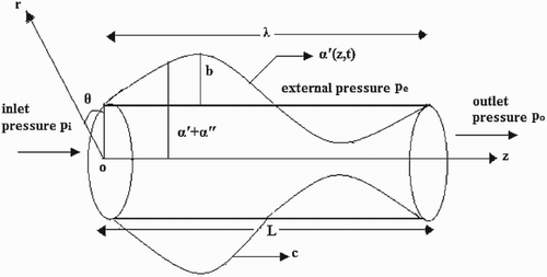 Figure 1. Physical model.