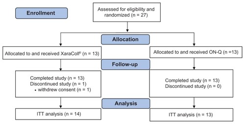 Figure 3 CONSORT flow diagram.