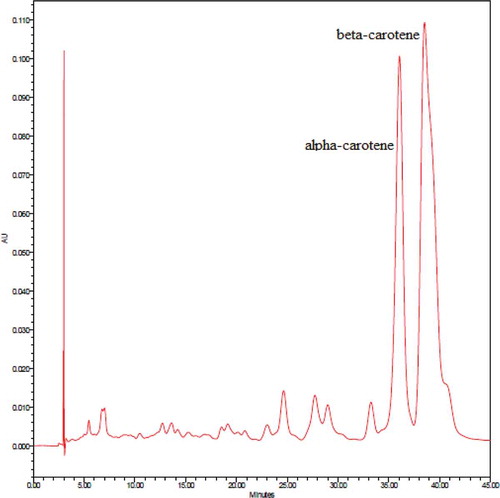 Figure 2. HPLC chromatogram of palm carotene.