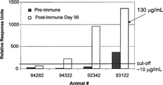 FIG. 10. Surface Plasmon Resonance (SPR) immunoassay anti-therapeutic antibody (α-tAb1) results from analysis of samples from 4 monkeys prior to (Pre-Immmune) and 56 days after (Post-Immune) weekly tAb1 hyperimmunization with adjuvant. The Relative Response Unit value of #93122 was interpolated from an Affi-pure α-tAb1 standard curve and assigned a value of 130 relative μg/mL.