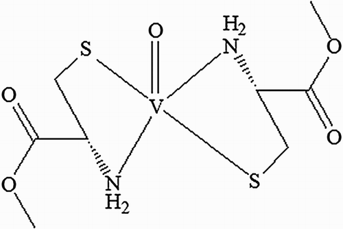 Figure 1. Structure of oxovanadium (IV)-L-cysteine methyl ester (VC-IV) complex.