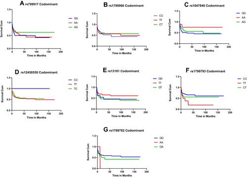 Figure 1 (A) BRCA1 rs799917 (p=.224). (B) BRCA1 rs1799966 (p=.57). (C) EXO1 rs1047840 (p=.37). (D) EME1 rs12450550 (p=.68). (E) ERCC2 rs1318 (p=.40). (F) ERCC2 rs1799793 (p=.23). (G) XRCC1 rs1799782 (p=.47).