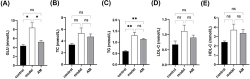 Figure 2 Effects of abdominal massage (AM) on blood glucose and blood lipids in obese mice between control, model, and AM groups. Glucose (A), total cholesterol (B), triglycerides (C), low-density lipoprotein-C (D), and high-density lipoprotein-C (E) content in serum. Data are expressed as the mean ± standard deviation. *P < 0.05; **P < 0.01.