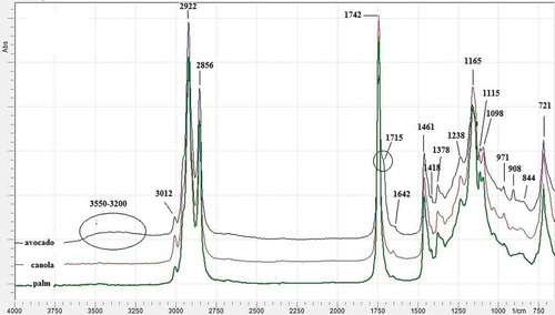 FIGURE 1 FTIR spectra of avocado oil (AO), canola oil (CaO), and palm oil (PO) at mid-infrared regions (4000–650 cm–1).