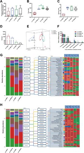 Figure 8 Fecal bacterial diversity in ileocecum. Gut microbiota communities in difference groups fecal samples were collected from ileocecum of y-ic-WKY (n=4), y-ic-WKY-S (n=4), y-ic-SHR (n=5) and y-ic-SHR-S (n=5) rats and bacterial 16S rDNA were amplified and sequenced to analyze the compositions of microbial communities. (A–C) Fecal biomass and microbial richness and diversity of different groups were evaluated.(D)The Firmicutes to Bacteroidetes ratio (F/B ratio) was observed between the four clusters. (E) Principal coordinate analysis of different groups. Weighted uniFrac analyses were used to calculate the distances between fecal samples among different groups. Each axis percentage describes how much variation that 1-dimension accounts for. By comparing the samples in a 3-dimensional figure, a clear separation was observed between the four clusters. (F) Phylum breakdown of the five most abundant bacterial communities in the difference groups fecal samples. (G and H) Differences of the top 30 bacteria between different groups at the level of family and genes, Red means increase, green means decrease, blue means no difference. Results were compared by Unpaired t-test; *p < 0.05, **p < 0.01, ***p<0.001 (Black y-ic-SHR-S vs y-ic-WKY, Blue y-ic-WKY-S vs y-ic-WKY, Green y-ic-SHR vs y-ic-WKY); Δp < 0.05 (y-ic-SHR vs y-ic-WKY-S).