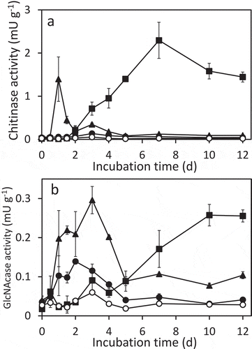 Figure 3. Chitinase (a) and N-acetylglucosaminidase (GlcNAcase) (b) activity in incubated upland soil supplemented with 0.2% (w/v) N-acetylglucosamine (closed circles), N,N’-diacetylchitobiose (closed triangles), powdered chitin (closed squares), or without supplementation (open circles). GlcNAcase and chitinase activities were measured using 4-methylumbelliferyl-N-acetylglucosaminide and 4-methylumbelliferyl-N,N’-diacetylchitobioside, respectively. Soil samples were prepared in duplicate and the average enzymatic activities are shown. Error bars indicate the maximum and minimum activities of the duplicated soil samples.