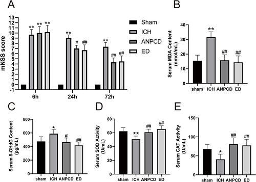 Figure 6 ANPCD and ED decreased neurological deficit scores and serum MDA and 8-OHdG content, but increased serum SOD and CAT activity at 72 h after ICH in rats. (A) mNSS score. (B) serum MDA content. (C) serum 8-OHdG content. (D) serum SOD activity. (E) serum CAT activity. * p < 0.05 or ** p < 0.01 as compared with the sham group; # p < 0.05 or ## p < 0.01 as compared with the ICH group.