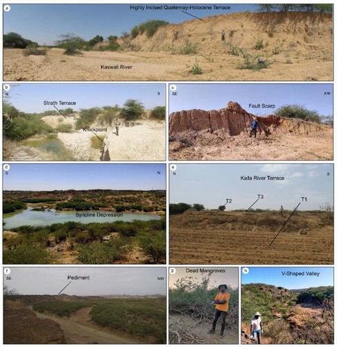 Figure 5. Landforms in the KU. (a) panoramic view of Kaswali river, (b) Knickpoint in the Lothia river, (c) degraded fault scarp near Lodai, (d) syncline depression between the younger anticline domes in the eastern extremity of NHR, (e) multiple terrace levels of Kaila river, (f) hanging pediment near Khari river, (g) depleted mangroves near the toe of the Lodai fan, and (h) small canyon in the Habo dome carved by a seasonal river.