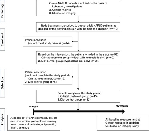 Figure 1 Study design.