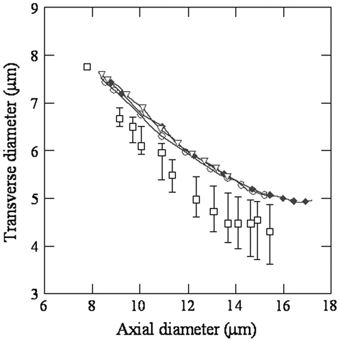 Figure 2. Transverse vs. axial diameter relationship from optical tweezers measurements of Dao et al. [Citation1] reinterpreted by the authors. See Figure 1 for plot legend.