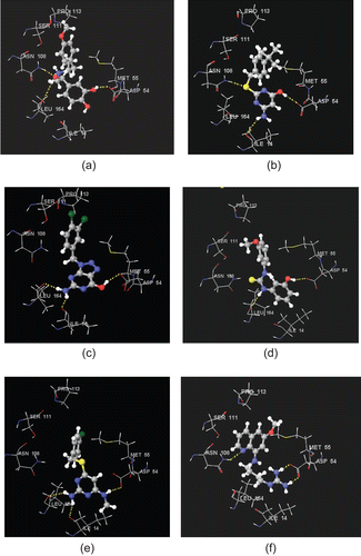 Figure 6.  Stereoview of XPGlide predicted binding poses of (a) NCI004356, (b) GK03628, (c) NCI0029588, (d) CD00706, (e) NCI0037722, and (f) NCI0014710 in the active site of the quadruple-mutant PfDHFR enzyme. For the sake of clarity, only important amino acid residues are given.