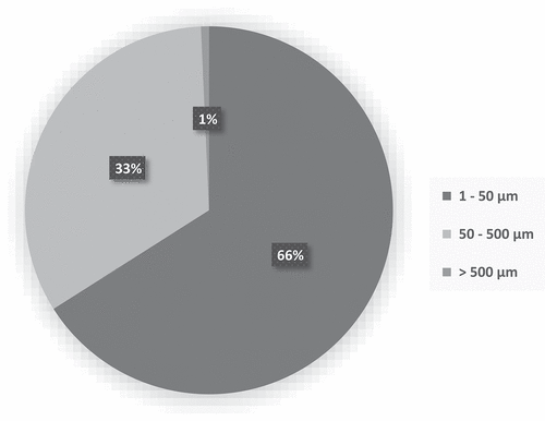Figure 4. Size categories of microplastics ingested by Cryptorchestia garbinii in all sites.