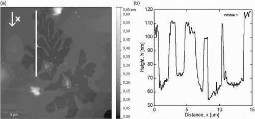 Figure 3. AFM height image of a void (a) and corresponding extracted height profile (b). The position of the extracted profile (white line) and x-direction (arrow) are indicated in (a). The mean depth of the voids is 40–50 nm.