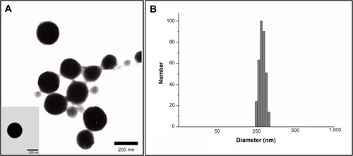 Figure 3 Morphological shapes (A) and particle sizes (B) of 5-FU-loaded BSA-LTB nanoparticles.Abbreviations: 5-FU, 5-fluorouracil; BSA, bovine serum albumin; LTB, heat-labile enterotoxin subunit B.