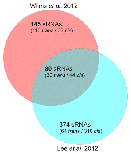 Figure 2. Comparison of two A. tumefaciens dRNA-seq studies. Venn diagram comparing the sRNAs identified by Wilms et al.Citation11 and Lee et al.Citation12
