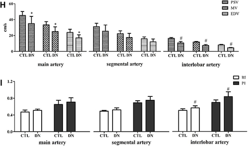 Figure 4 Evaluation of renal hemodynamics of left kidney by color Doppler spectrum ultrasound. (A) Schematic diagram of main artery, segmental artery and interlobar artery. (B) The main artery of the CTL group. (C) The main artery of the DN group. (D) The segmental artery of the CTL group. (E) The segmental artery of the DN group. (F) The interlobar artery of the CTL group. (G) The interlobar artery of the DN group. (H) Comparison of PSV, MV and EDV in the two groups. (I) Comparison of RI and PI in the two groups. All data were obtained from left kidney of rats. Data are expressed as the mean ± standard deviation (n=6). *P < 0.05, comparison in the main artery of the CTL group and the DN group. #P < 0.05, comparison in the interlobar artery of the CTL group and the DN group.