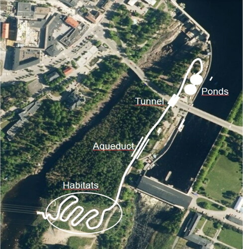 Figure 2. Imatra City Brook with its characteristic areas (study sites shown in Figure 4.).