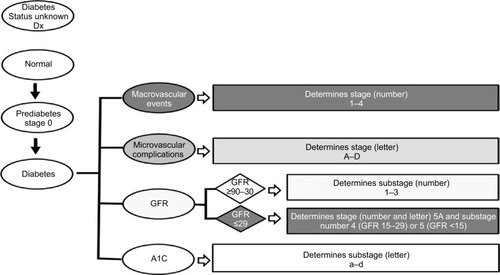 Figure 1 Diabetes Staging System flow diagram for determining stage and substage.