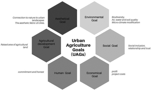 Figure 1. Urban agriculture dimensions.