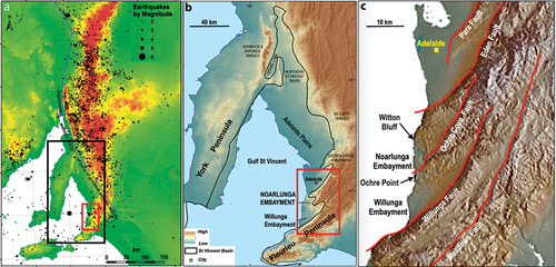 Figure 1. a: Epicentres of earthquakes of magnitude 2 or greater recorded in eastern South Australia until 2016 (from Preiss, Citation2019). b: locality map of the Noarlunga Embayment on the eastern side of Gulf St Vincent south of Adelaide (modified from Smith et al., Citation2016). c: satellite view showing the en echelon splay faults at the southern end of the Adelaide fold belt and the Noarlunga and Willunga Embayments (modified from Sandiford, Citation2003). The Witton Bluff coastal cliffs lie towards the northern limit of the sedimentary fill of the Noarlunga Embayment.
