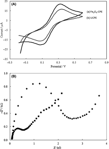 Figure 1. (A) Cyclic voltammograms of (a) UCPE, (b) Fe3O4-CPE at 50 mVs−1. (B) The Nyquist curves of (♦) UCPE and (■) Fe3O4-CPE in 0.1 mol L−1 KCl solution containing 5 mmol L−1 Fe(CN)63−/4−.
