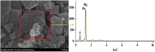 Figure 12. SEM-EDS test of combustion products of N at atmospheric pressure.