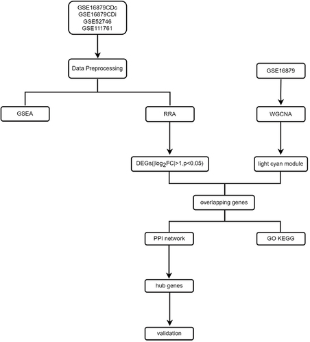 Figure 1 Flow chart of this study.