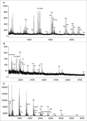Figure 8. MALDI mass spectra obtained from the RNase T1 digestion of E. coli tRNAs. (A) m/z 900–2700; (B) m/z 2700–6000. (C) MALDI mass spectra obtained from the RNase A digestion of E. coli tRNAs. Figure reproduced from ref (Citation72).
