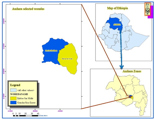 Figure 1. Location of Goncha Siso Enese and Enebsie Sar Midir Woredas. Source: Own construction using ARC-GIS (2023).