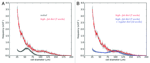 Figure 3. Changes of adipose cell-size distributions under weight gain and loss conditions. C56BL/6 mice were fed with a high-fat diet for 7 weeks, then with a regular diet for following 12 weeks. Cell-size distributions in epididymal fat depots were measured from different mice at initial time (3 mo old; black), after 7-week high-fat diet (red) and after 7-week high-fat + 12-week regular diets (blue). Mean ± SEM (n = 6). Note that absolute frequencies of cell sizes were obtained from their relative frequencies using epididymal fat mass measured.