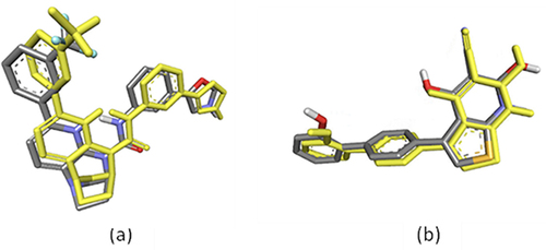 Figure 5 Superimposed structures of the re-docked ligand to the X-ray crystallographic mode of binding: (a) 4TQ (yellow model represent docking result) with the co-crystallized ligand (depicted as the grey model) of SIRT1 (RMSD = 0.88 Å); (b) A-769662 (yellow model represent docking result) with the co-crystallized ligand (depicted as the grey model) of AMPK (RMSD = 0.56 Å), visualized by employing Discovery Studio Visualizer 4.0.