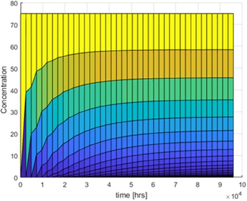 Figure 23. Numerical simulation of concentration in time.