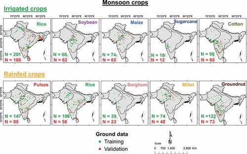 Figure 5. Spatial distribution of the ground reference (training and validation; ICRISAT Citation2022; Gumma et al. Citation2017) collected for mapping of major kharif crops (product 3) using MODIS 250 m data (Miller Citation2016).