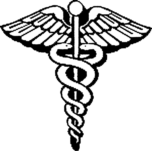 Figure 1.  Caduceus: The staff with the two intertwined snakes and the symbol of medicine. The snakes may represent the sub-themes the good shepherd and the medical expert.