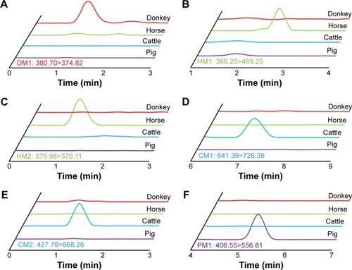 Figure 4 The presence of six marker peptides in gelatin samples prepared from the skins of the corresponding animals and their absence in other animals, as determined by LC-MS/MS MRM analysis.Notes: MRM chromatograms of (A) DM1, (B) HM1, (C) HM2, (D) CM1, (E) CM2, and (F) PM1 in donkey, horse, cattle, and pig gelatin samples.Abbreviations: LC-MS/MS, liquid chromatography-tandem mass spectrometry; MRM, multiple reaction monitoring.