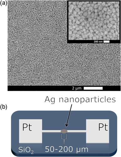 Figure 1. (a) Scanning electron microscopy image of a silver nanoparticles after synthesis, scale bar = 2 μm. A higher magnification image is inset, scale bar = 200 nm. (b) Schematic of a nanoparticle film device (not drawn to scale). Platinum electrodes with terminals spaced 50–200 μm apart on a SiO2 substrate surround the drop-caste nanoparticles on either side.
