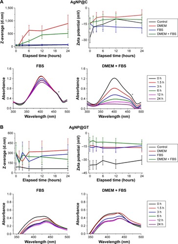 Figure 4 The effect of cell culture medium components DMEM and FBS on the aggregation behavior of the as-prepared silver nanoparticles.Notes: Average hydrodynamic diameter (Z-average) trend, zeta potential, and UV-Vis spectrum changes of (A) citrate-stabilized AgNP@C, (B) green tea-stabilized AgNP@ GT, observed over 24 hours. * marks a UV-Vis detection error during the measurements that should be disregarded.Abbreviations: AgNP@C, citrate-capped nanosilver; AgNP@GT, green tea extract-stabilized silver nanoparticle.