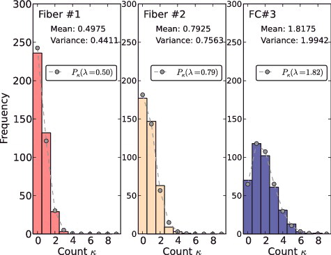 Figure 11. Histograms representing the frequency distribution of delayed neutrons (t = 30–50 ms) for the three different neutron detectors. Circles with dashed lines indicate the Poisson distributions.