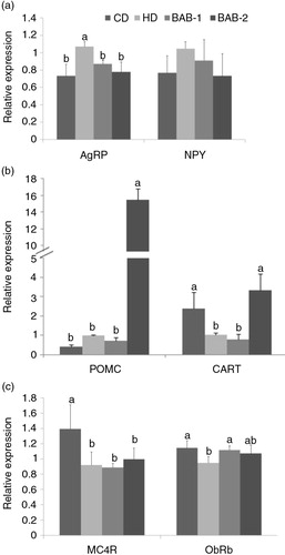 Fig. 4 Effects of black adzuki beans on mRNA expression of hypothalamic neuropeptides in rats fed a high-fat diet. (a) Orexigenic neuropeptide, (b) anorexigenic neuropeptide, and (c) neuropeptide receptor mRNA expression were measured by quantitative real-time PCR. The mRNA expression was normalized using GAPDH and shown by relative expression of neuropeptide in the HD group. Data are expressed as mean±SD with different letters indicating a significant difference among groups, according to ANOVA with Duncan's multiple range test (p<0.05).