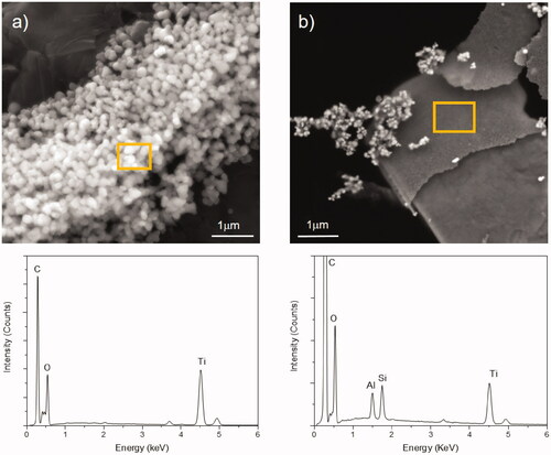 Figure 1. Nanoparticle analysis in food products containing nanoparticles. Scanning electron micrographs with corresponding energy dispersive X-ray spectroscopy to analyze the chemical composition of the observed particles of (a) a chocolate product containing TiO2 particles and (b) of candies containing talc (hydrated magnesium silicate) and TiO2 particles. Images courtesy Dr. Miguel Spuch-Calvar.