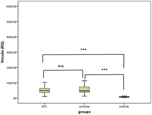 Figure 1 Serum vinculin in the studied groups.